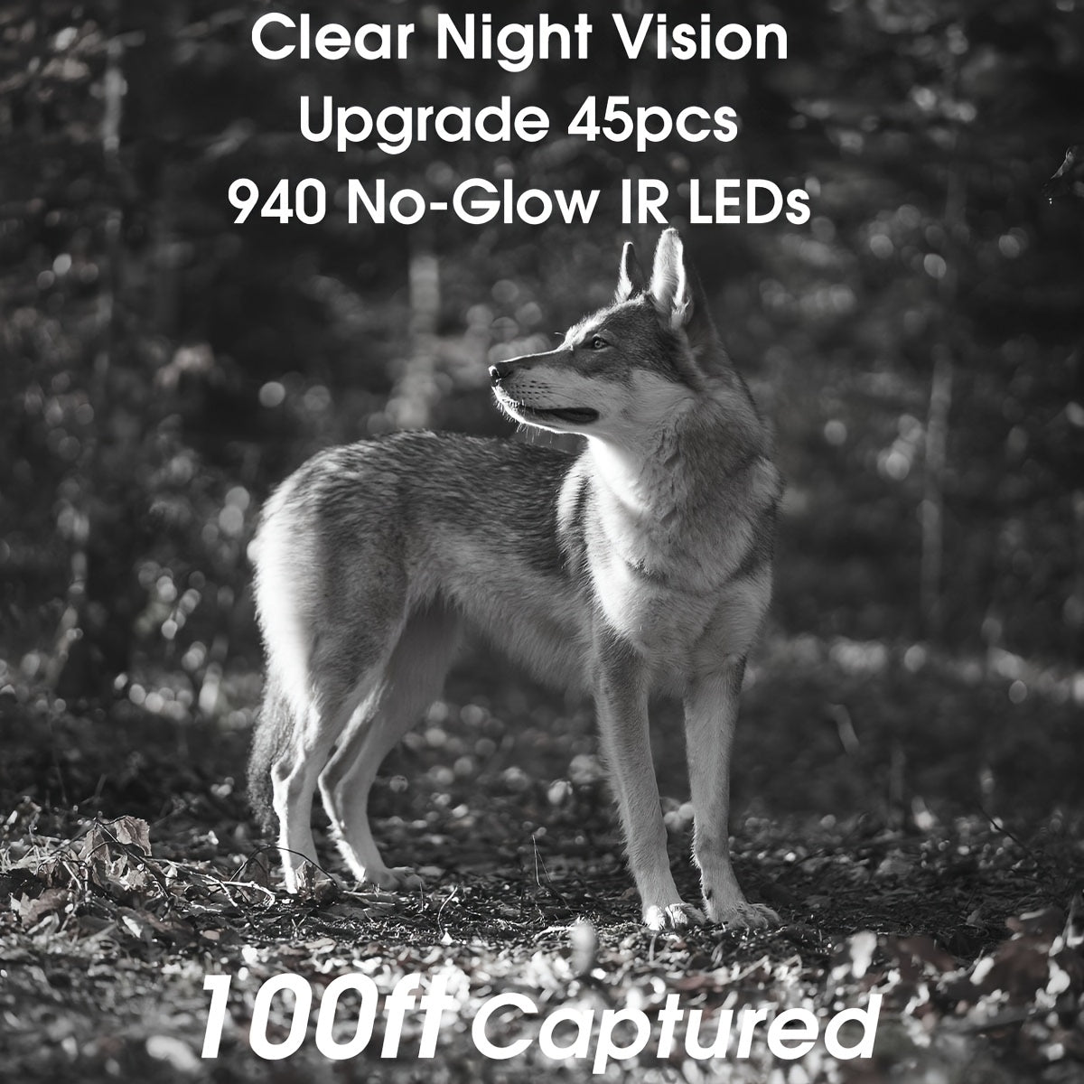 WiFi Trail Camera, 4K 64MP Game Camera With 64GB Memory Card, Trail Cam With Night Vision For Wildlife Monitoring